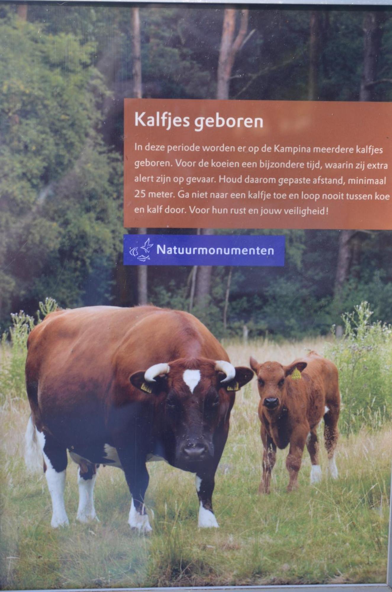 Erfgoed & Logies Den Heijkant Moergestel Rum bild