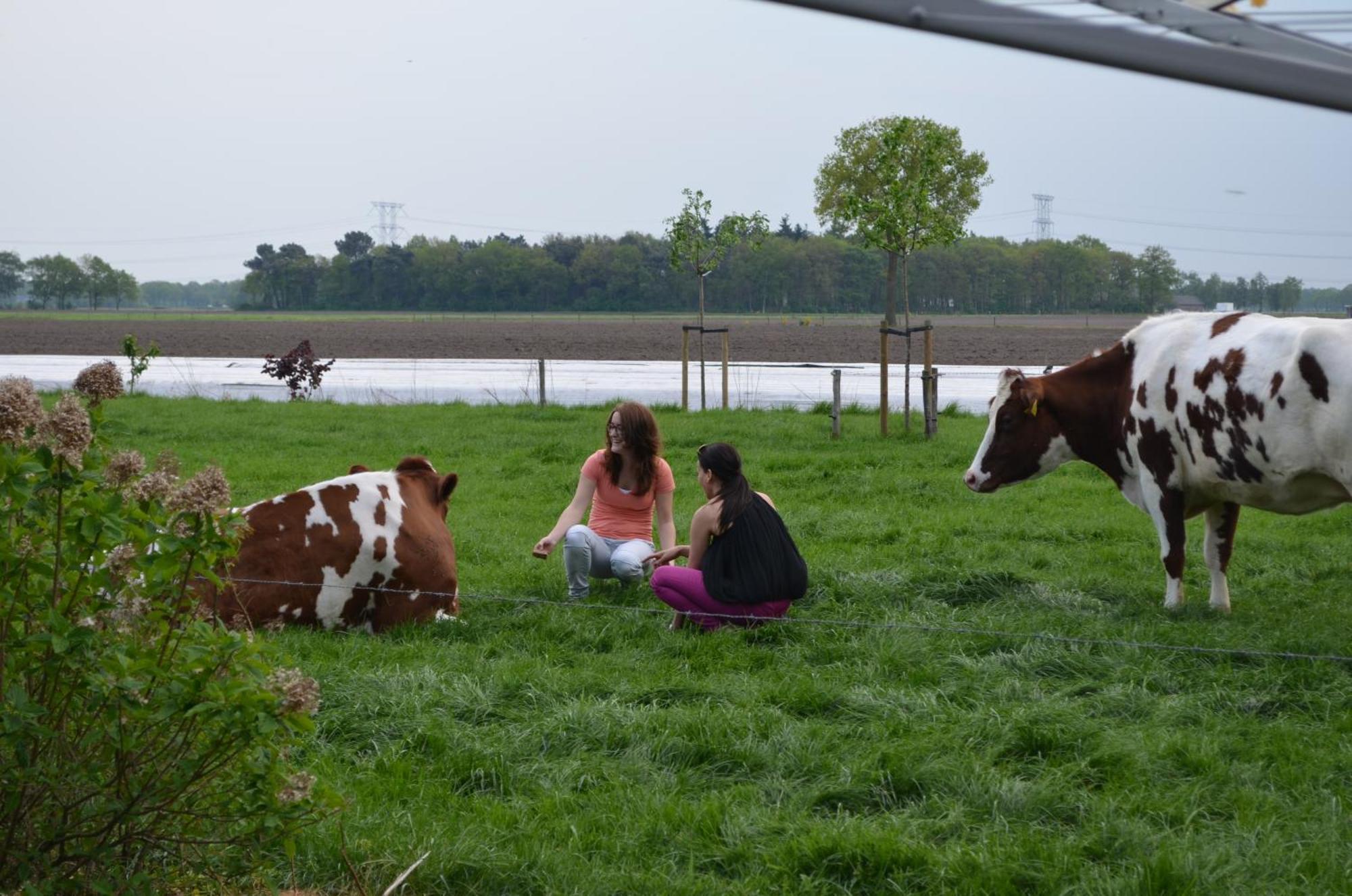 Erfgoed & Logies Den Heijkant Moergestel Rum bild